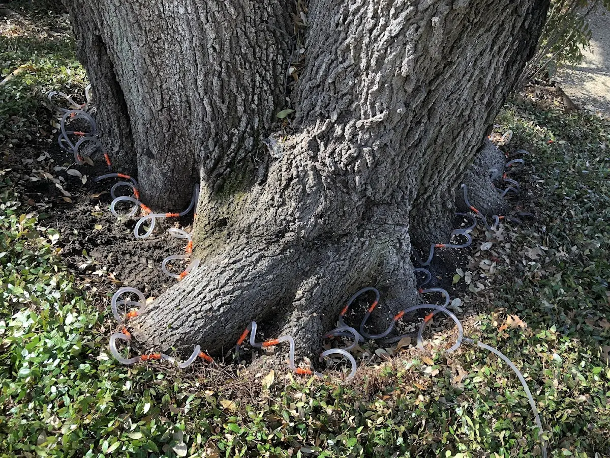 Detailed Shrub and Hedge Trimming job site in Ada